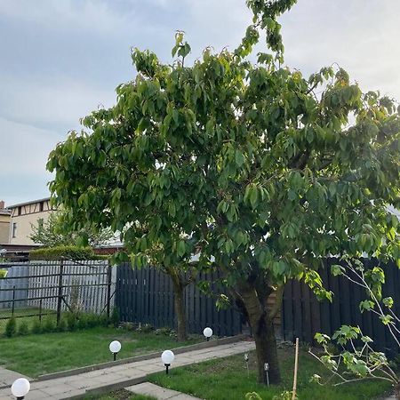 Schoenes Reihenhaus Mit Garten Магдебург Екстериор снимка